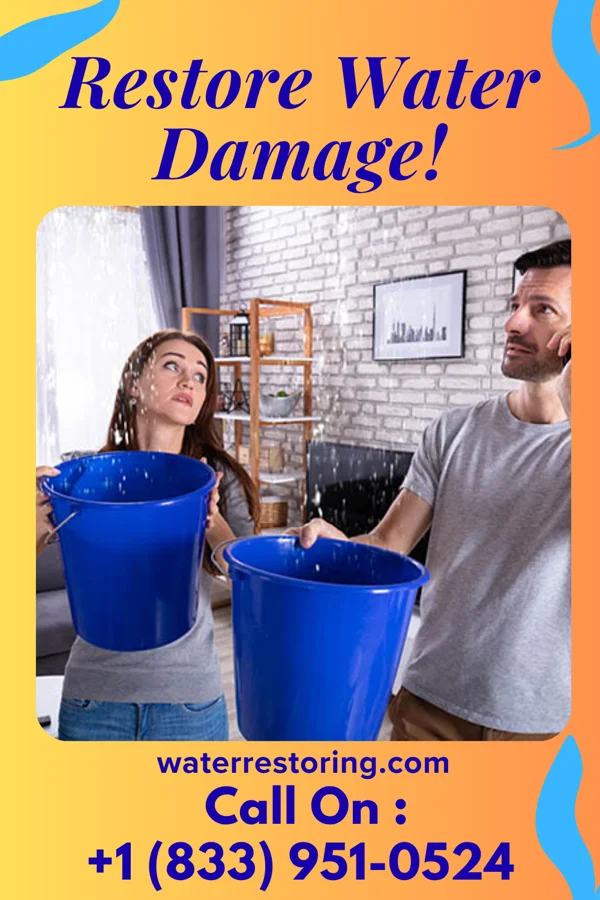 water restoration Citywide Water Solutions LLC Muir